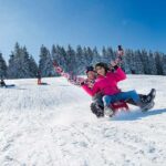 Έλκηθρο Rolly Snow Cruiser – Κόκκινο - Image 2