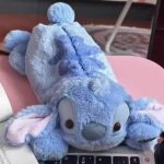 Κασετίνα Stitch Λούτρινη - Image 2