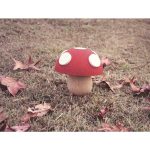 elou Funghi - Image 2