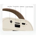 Wireless Karaoke Speaker - Image 7